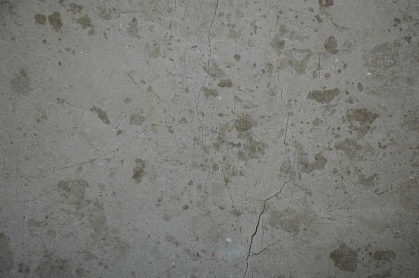 large_camel_beige
